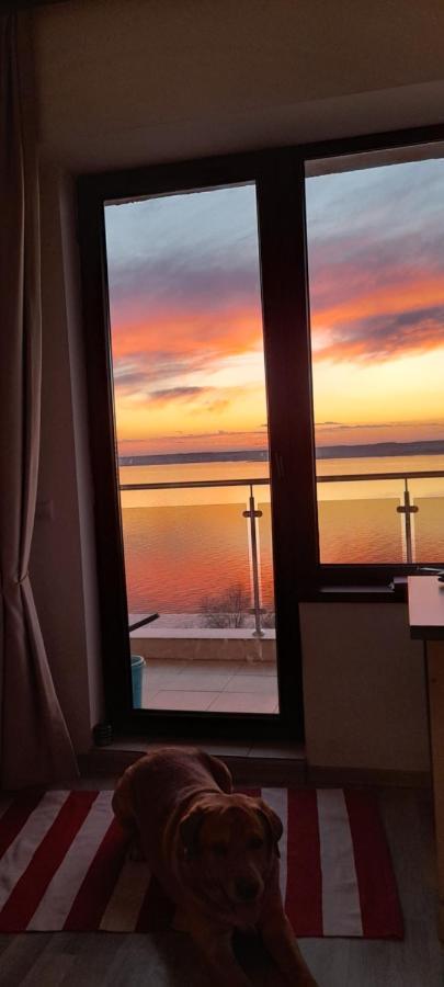 Bella Vista Summerland Mamaia Exterior foto